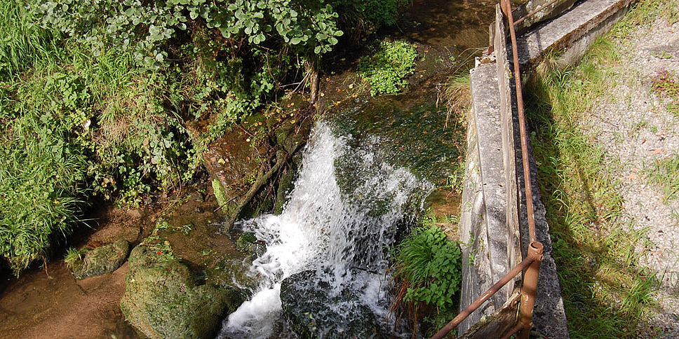 gasthof-gruener-wald-ausflugsort-02-v2-1